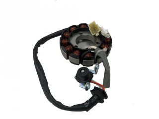    YBR125 (12 )