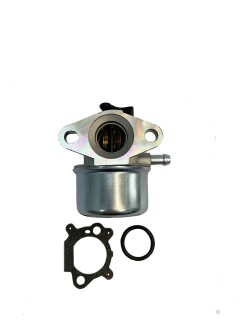  Briggs-Stratton 650 Series (799868)   