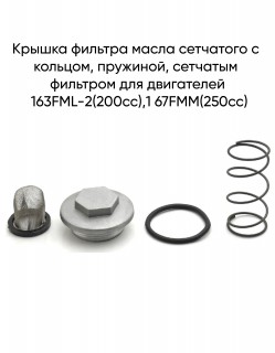      , ,   163FML-2(200cc),167FMM(250cc)