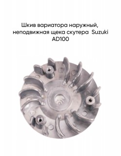   ,   Suzuki AD100