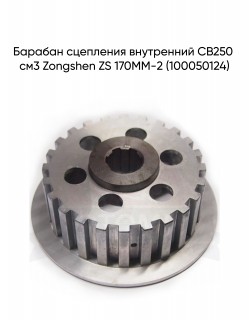    CB250 3 Zongshen ZS 170MM-2 (100050124)
