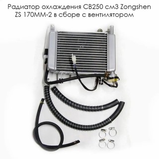 �������� ���������� CB250 ��3 Zongshen ZS 170MM-2 � ����� � ������������ (100201576)