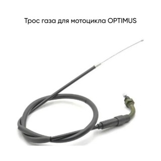 ���� ���� OPTIMUS
