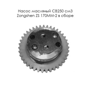 ����� �������� CB250 ��3 Zongshen ZS 170MM-2 � ����� � ��������� (100100079)