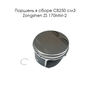 ������� � ����� CB250 ��3 Zongshen ZS 170MM-2 (������, �����, �������. ������) (������ �������)