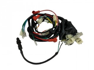 �������� ����������� ��� ��������� SIGMA SPORT, SIGMA