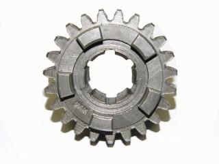 �������� 21 ��� (II - IV ��������) ��������� �� �������