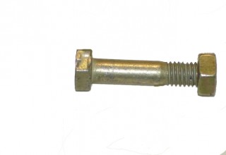 ���� ������� �����