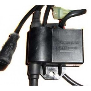 ������� ��������� ��������� �����-DUCATI ������� ������� 432385520