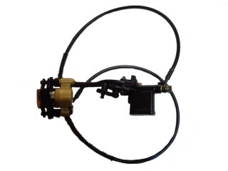 ���������� �a����� ������a DINGO, BEETLE, BUG