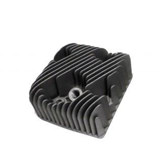 ������� ����� ����� (110500059)