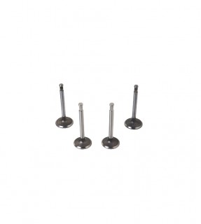 �������� �������� ��������� ���� (2 ����)