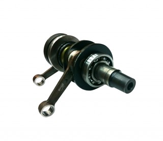 ������a� �a��a ��a�a 501 (K20500200)