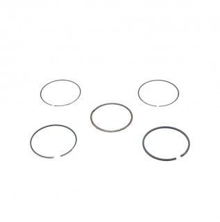 ������ ��������� (��������) ��������� 144F