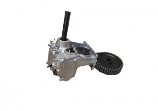 ������� ������� ������ ������� (�������� ���, ������� � 3-� ������ ��������� ����) ��������� ����� (110603190)