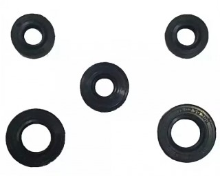 ����� ��������� ���� (������) (�������)