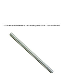 ��� ��������������� ������ ����� (110200137) ��� ���� �10��