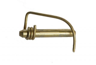 ����� ��������� ������ � ���� �� � ���������