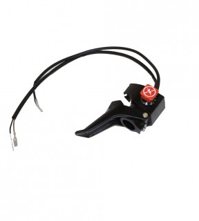 ������������� ����, ��������� �����, ������ (�41100060)