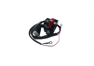 ������������� ������� ������� ������ �� �������� ��