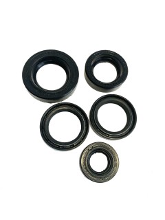 ����� ��������� ������, ���, ���, ����