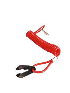 ���� ���������� �������� ��������� ��� ���� ����� (������ ���������) � �������