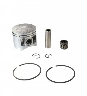 ������� �������� CHAMPION �261/264 � ����� (156-0500-260)