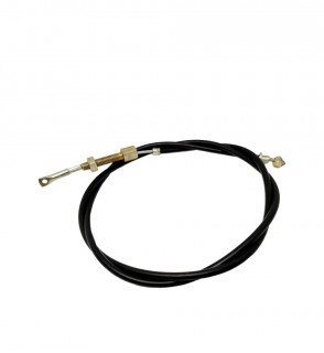 ���� ��������� �� �����, ������� �������