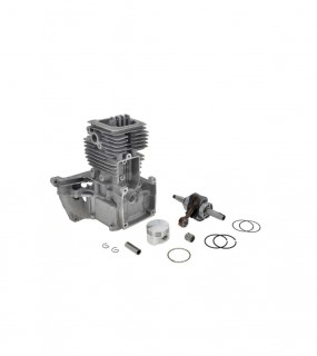 ��������� ������ CHAMPION T334FS c ���������� ����� (163351048K)