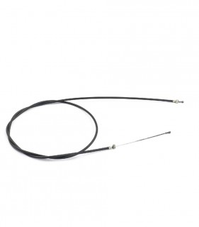 ���� ��������� ����������� ������� (����� 1700 ��)