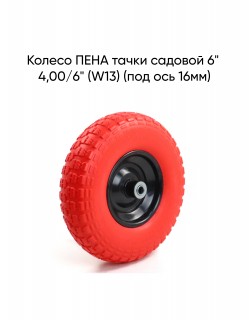 ������ ���� ����� ������� 6