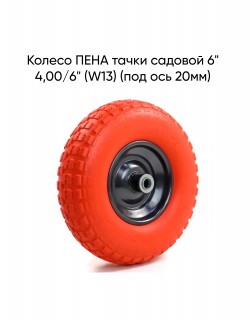 ������ ���� ����� ������� 6