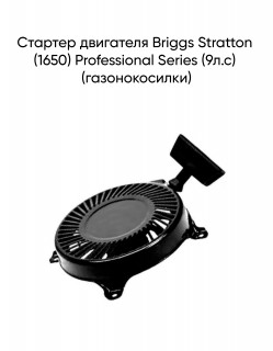 ������� ��������� Briggs Stratton (1650) Professional Series (9�.�) (�������������)