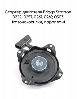 ������� ��������� Briggs Stratton 0222, 0257, 0267, 0269, 0303 (�������������, ��������)