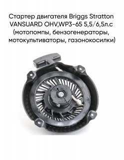 ������� ��������� Briggs Stratton VANSUARD OHV,WP3-65 5,5/6,5�.� (���������, ���������������, ����������������, �������������)