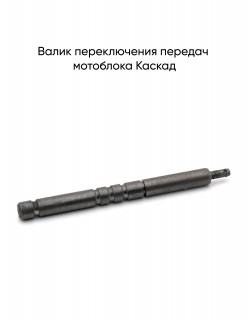 ����� ������������ ������� ������