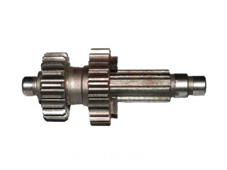 ��� ������������� � ��. Z21 (3.112-17121) �� ��������� �����