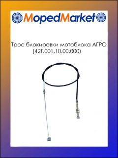 ���� ���������� ���� (42�.001.10.00.000)