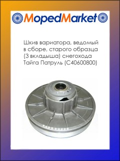 ���� ��������� ������� ��������� ����� ������� � �����, ������� �������, 3 �������� (�40600800)