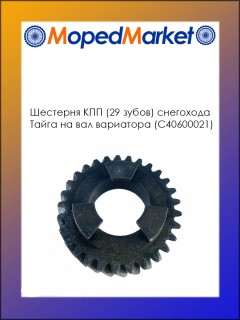 �������� ��������� ����� ��� (�40600021) (29 �����) �� ��� ���������