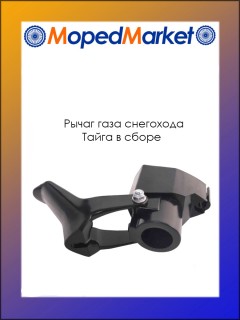 ����� ���� ��������� ����� � �����