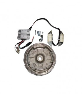 �������� ������������������� ��� ��������� 168FD,168FD-2,170FD 36�� (��� ���������������, � ������), (�������, �����������, �������, �����, ����� 12 ��, ����� 35 ��, �����)