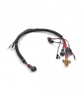 ���� ��������������� � ����� ��������� ����� (111103580)