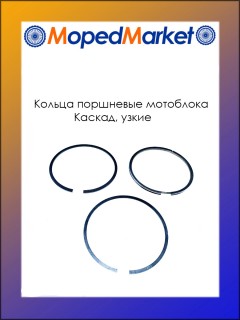 ������ �� ������, ����� (3 ������ + ��������)