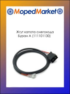 ���� ������ ��������� ����� � (111101130)