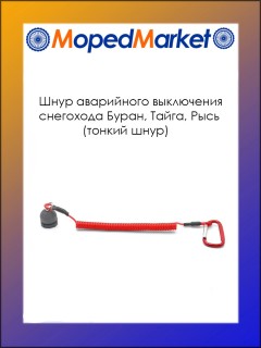 ���� ���������� ���������� ��������� �����, �����, ���� (������ ����)