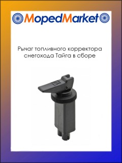 ����� ���������� ���������� ��������� ����� � �����