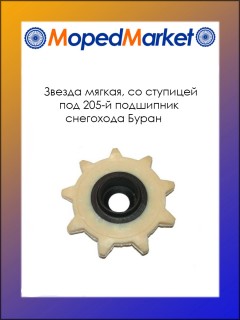 ������ ������, �� ��������, ��� 205-� ���������