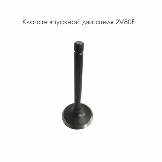 Клапан впускной  двигателя 2V80F (14411-A1010-0003)