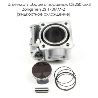 Цилиндр в сборе с поршнем CB250 см3 Zongshen ZS 170MM-2 (100104468-0006)+(смотри каталог)